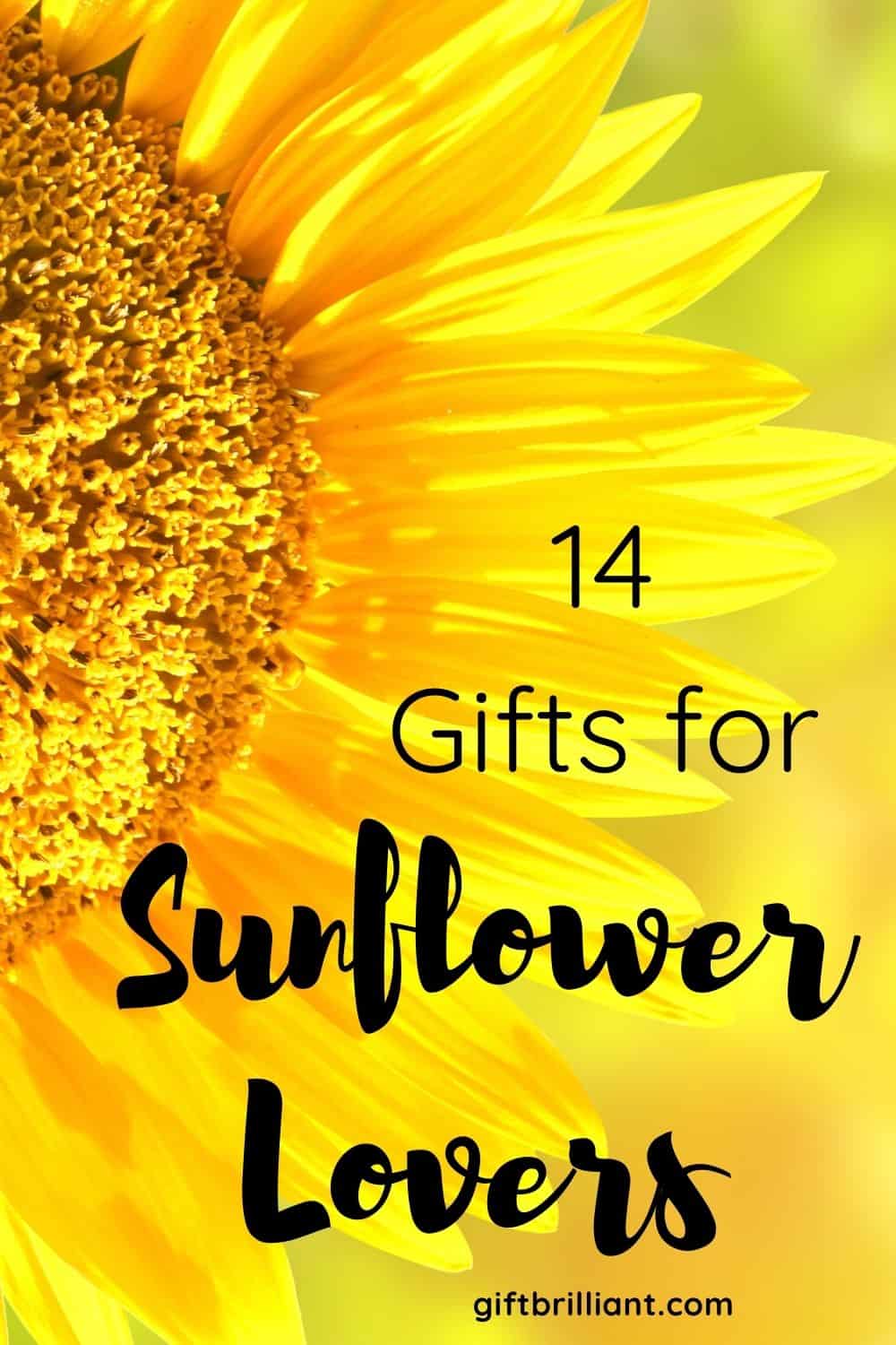 14 Sunflower Gifts for Sunflower Lovers in 2024