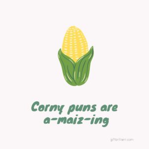 corny puns and gift puns